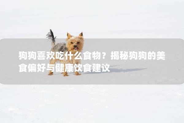 狗狗喜歡吃什么食物？揭秘狗狗的美食偏好與健康飲食建議