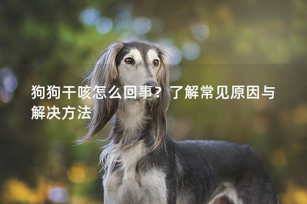 狗狗干咳怎么回事？了解常見原因與解決方法