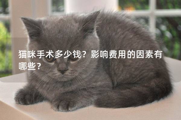 貓咪手術(shù)多少錢？影響費用的因素有哪些？