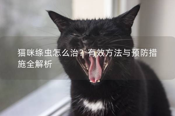 貓咪絳蟲怎么治？有效方法與預防措施全解析