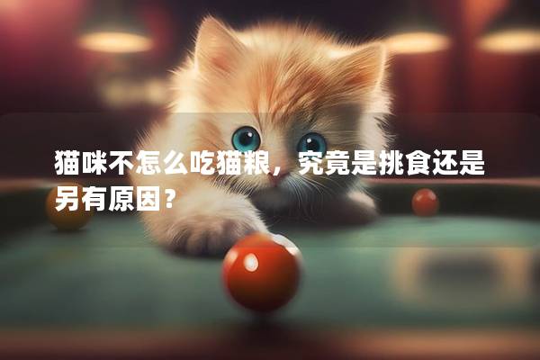 貓咪不怎么吃貓糧，究竟是挑食還是另有原因？