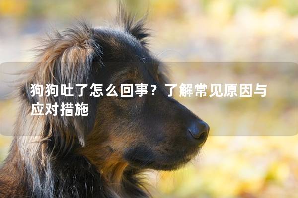 狗狗吐了怎么回事？了解常見原因與應對措施