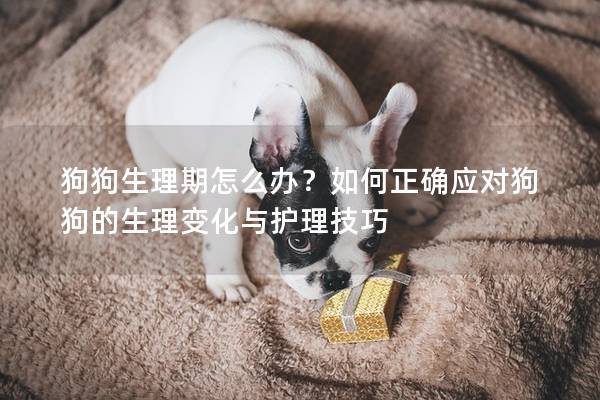 狗狗生理期怎么辦？如何正確應對狗狗的生理變化與護理技巧