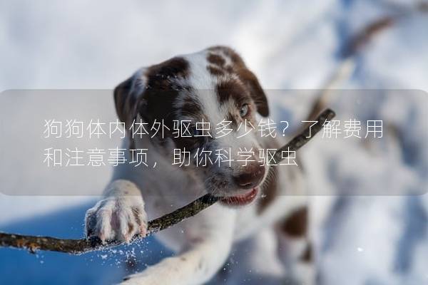 狗狗體內(nèi)體外驅(qū)蟲多少錢？了解費(fèi)用和注意事項(xiàng)，助你科學(xué)驅(qū)蟲
