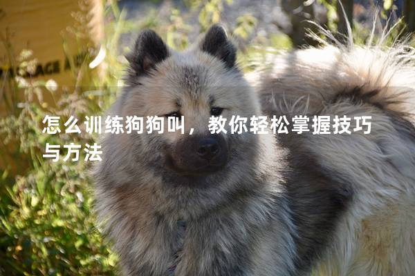 怎么訓(xùn)練狗狗叫，教你輕松掌握技巧與方法