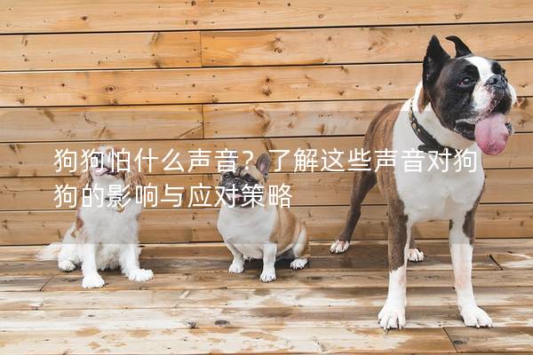 狗狗怕什么聲音？了解這些聲音對狗狗的影響與應對策略