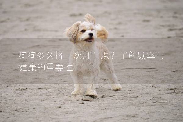 狗狗多久擠一次肛門腺？了解頻率與健康的重要性