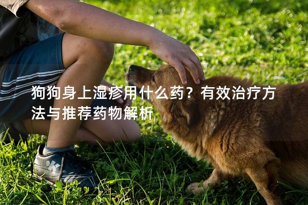 狗狗身上濕疹用什么藥？有效治療方法與推薦藥物解析