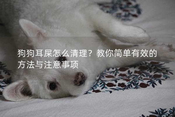 狗狗耳屎怎么清理？教你簡單有效的方法與注意事項