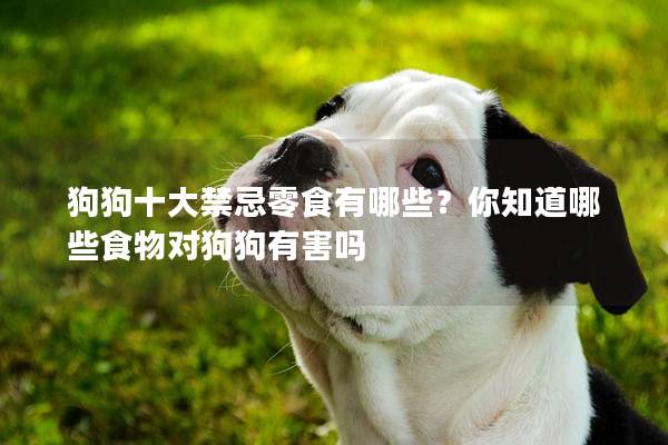 狗狗十大禁忌零食有哪些？你知道哪些食物對(duì)狗狗有害嗎