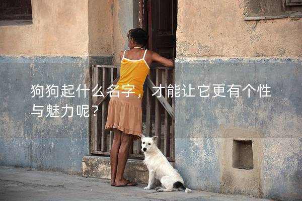 狗狗起什么名字，才能讓它更有個性與魅力呢？
