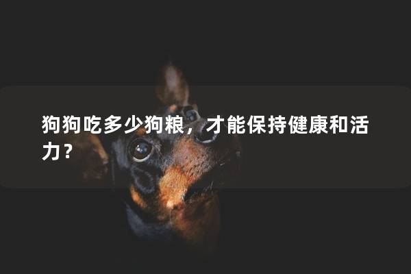 狗狗吃多少狗糧，才能保持健康和活力？