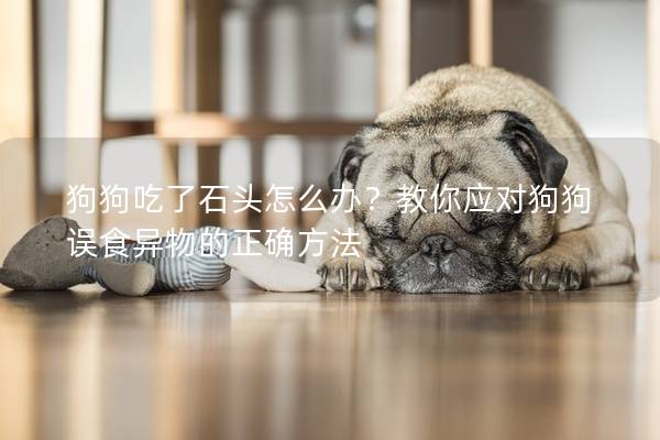 狗狗吃了石頭怎么辦？教你應對狗狗誤食異物的正確方法