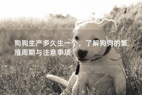 狗狗生產(chǎn)多久生一個，了解狗狗的繁殖周期與注意事項