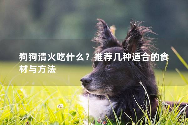 狗狗清火吃什么？推薦幾種適合的食材與方法