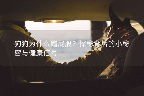 狗狗為什么蹭屁股？探秘背后的小秘密與健康信號