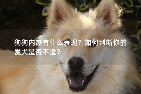 狗狗內(nèi)熱有什么表現(xiàn)？如何判斷你的愛犬是否不適？