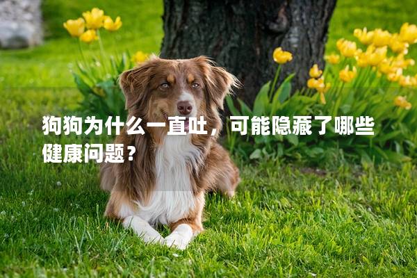 狗狗為什么一直吐，可能隱藏了哪些健康問題？