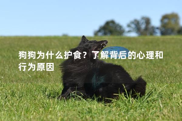 狗狗為什么護食？了解背后的心理和行為原因