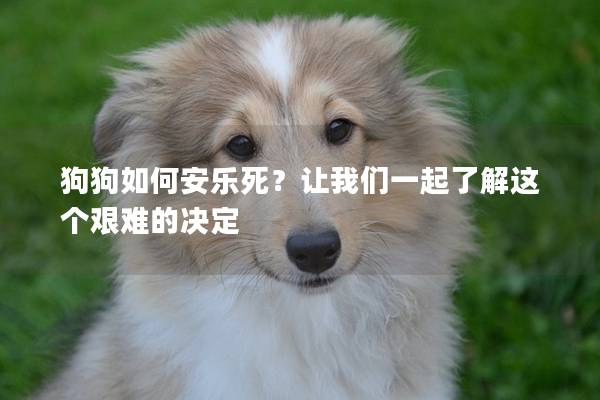 狗狗如何安樂死？讓我們一起了解這個艱難的決定