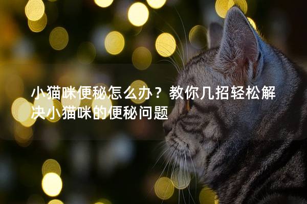 小貓咪便秘怎么辦？教你幾招輕松解決小貓咪的便秘問題