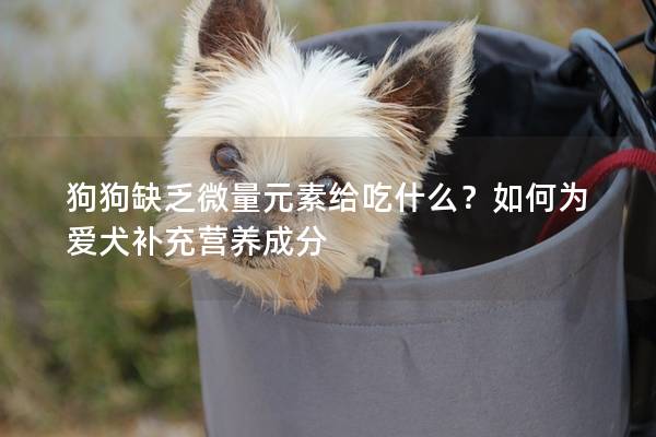 狗狗缺乏微量元素給吃什么？如何為愛犬補(bǔ)充營養(yǎng)成分