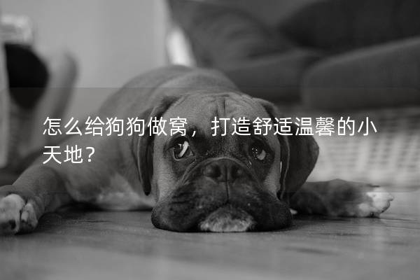 怎么給狗狗做窩，打造舒適溫馨的小天地？