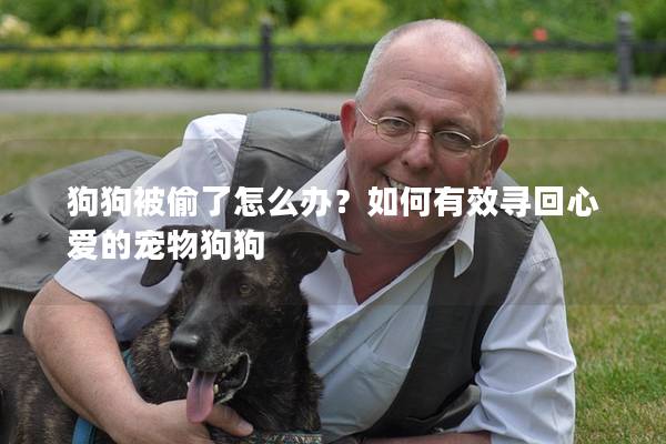 狗狗被偷了怎么辦？如何有效尋回心愛的寵物狗狗