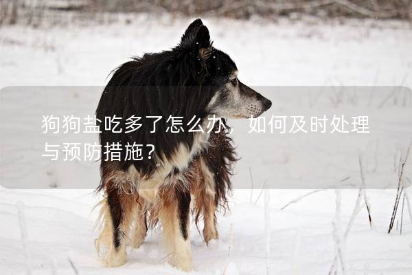 狗狗鹽吃多了怎么辦，如何及時處理與預防措施？