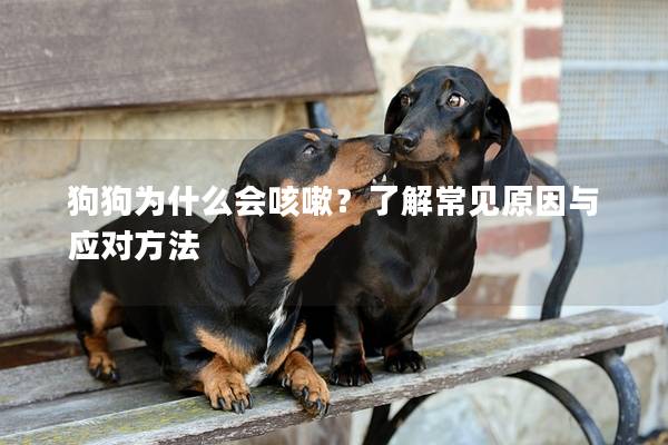 狗狗為什么會咳嗽？了解常見原因與應對方法