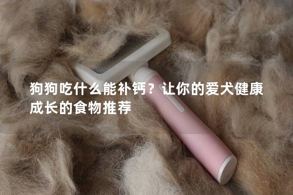 狗狗吃什么能補(bǔ)鈣？讓你的愛(ài)犬健康成長(zhǎng)的食物推薦