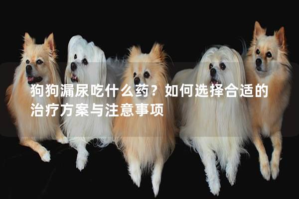 狗狗漏尿吃什么藥？如何選擇合適的治療方案與注意事項