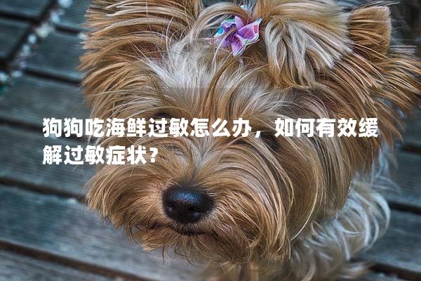 狗狗吃海鮮過敏怎么辦，如何有效緩解過敏癥狀？