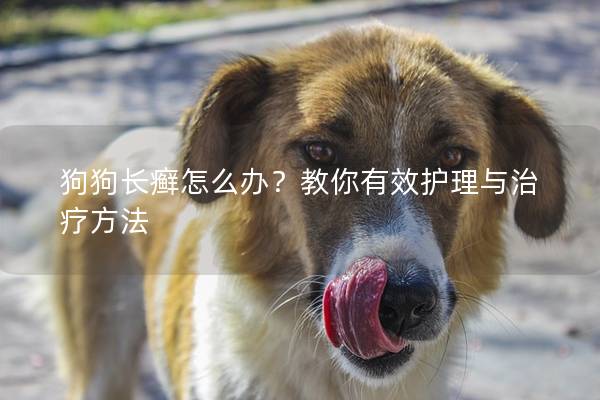 狗狗長(zhǎng)癬怎么辦？教你有效護(hù)理與治療方法