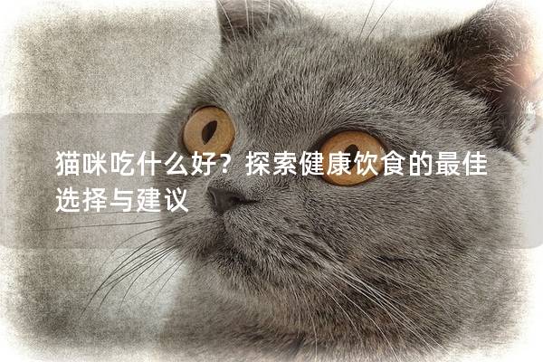 貓咪吃什么好？探索健康飲食的最佳選擇與建議