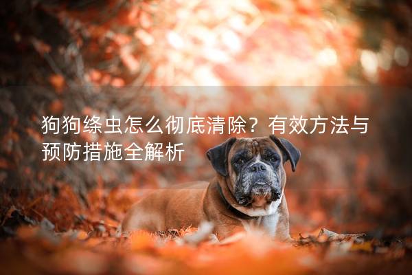 狗狗絳蟲怎么徹底清除？有效方法與預防措施全解析