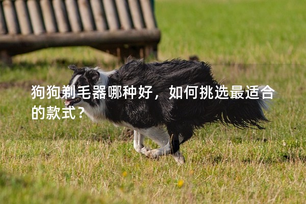 狗狗剃毛器哪種好，如何挑選最適合的款式？