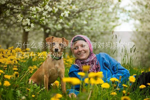 為什么狗狗要絕育，絕育對狗狗的健康有什么好處？