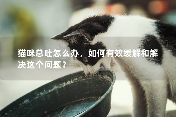 貓咪總吐怎么辦，如何有效緩解和解決這個問題？
