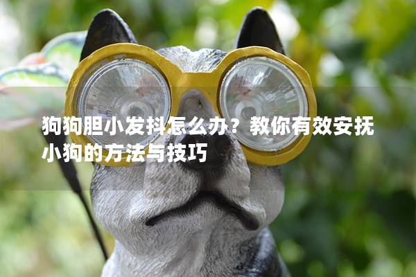 狗狗膽小發(fā)抖怎么辦？教你有效安撫小狗的方法與技巧