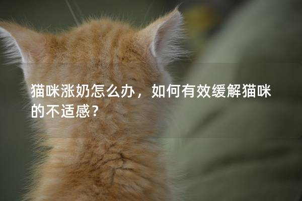 貓咪漲奶怎么辦,如何有效緩解貓咪的不適感? 貓咪漲奶怎么辦,如何有效緩解貓咪的不適感?
