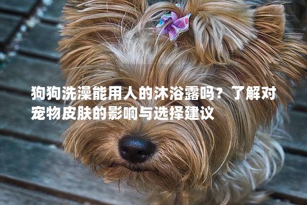 狗狗洗澡能用人的沐浴露嗎？了解對寵物皮膚的影響與選擇建議
