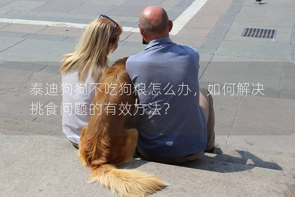 泰迪狗狗不吃狗糧怎么辦，如何解決挑食問題的有效方法？