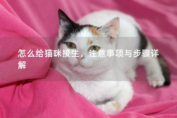 怎么給貓咪接生，注意事項與步驟詳解