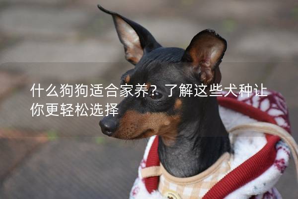 什么狗狗適合家養(yǎng)？了解這些犬種讓你更輕松選擇
