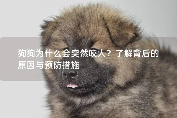 狗狗為什么會突然咬人？了解背后的原因與預防措施