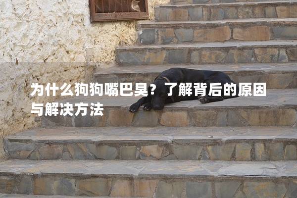 為什么狗狗嘴巴臭？了解背后的原因與解決方法