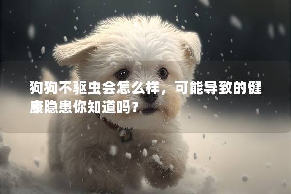 狗狗不驅(qū)蟲會怎么樣，可能導(dǎo)致的健康隱患你知道嗎？