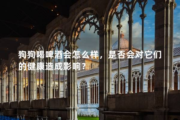 狗狗喝啤酒會怎么樣，是否會對它們的健康造成影響？
