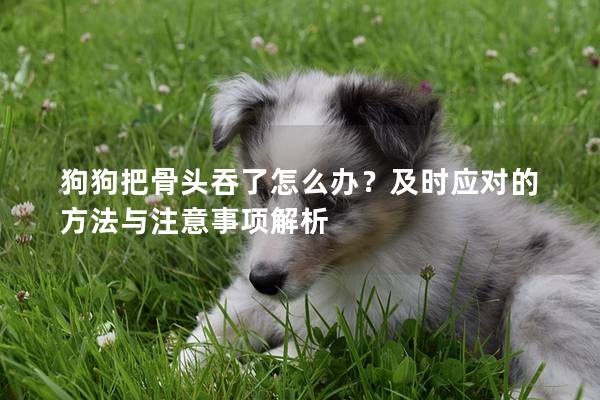 狗狗把骨頭吞了怎么辦？及時應對的方法與注意事項解析